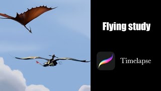 Flying Study [Procreate Timelapse]