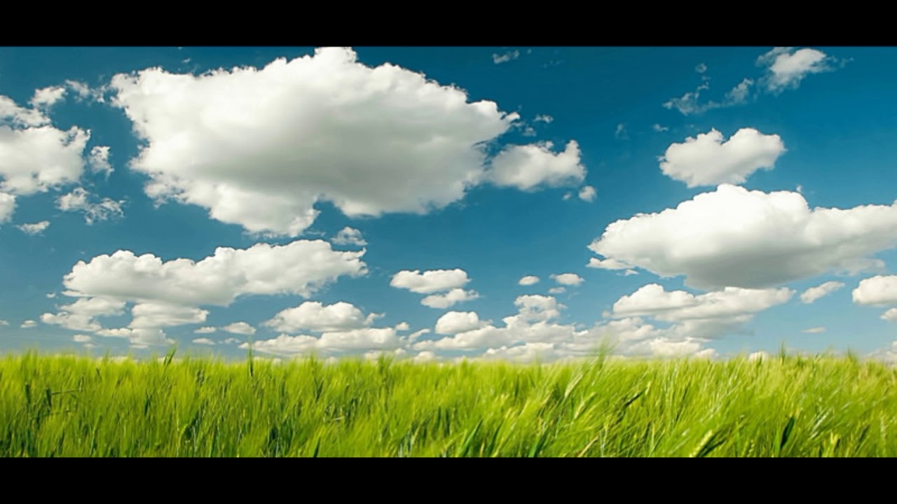 АВЕН АЗЕР 06 Царю Мій