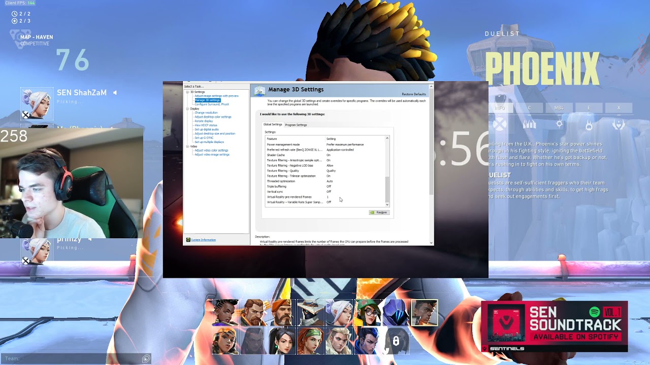 SEN SicK shows you his Nvidia Settings
