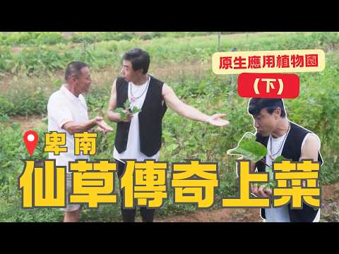 《縱谷食光》EP 18 台東原生應用植物園（下）