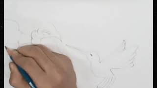 Arts Of Flowers , Fruit And Bird With Arts Blaster.