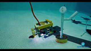 Stories From The Blue The Mate Rov Compeion