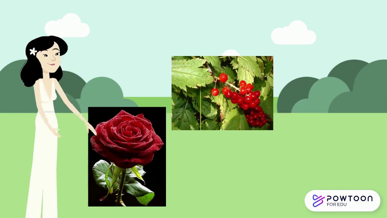 internal and external structures video