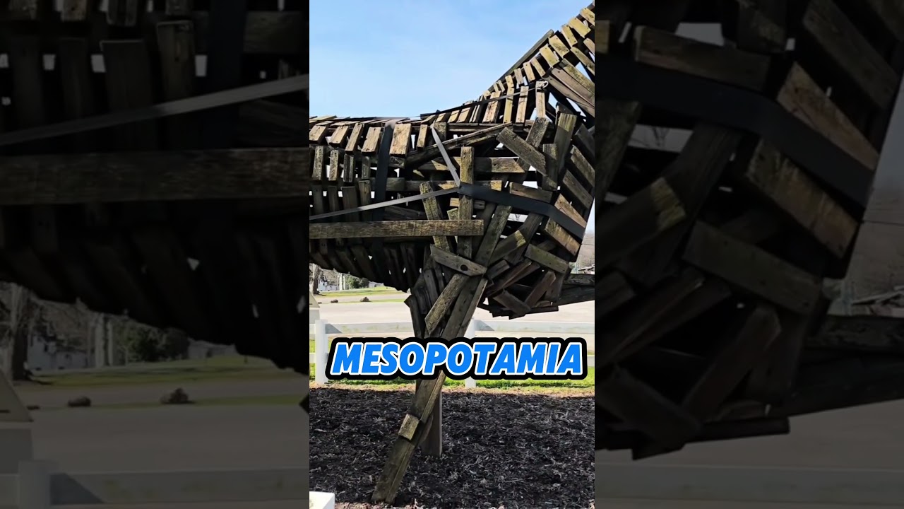 World's Largest Amish Horse and Buggy