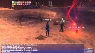 FFXI 2011 New Weapon Skills in Action!