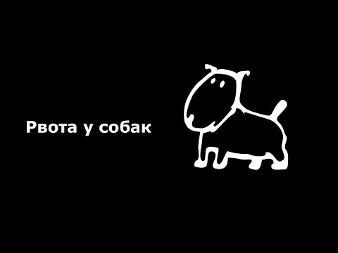 Вопрос: Как спровоцировать рвоту у собаки?
