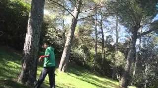 samuel wall flip graviteam parkour