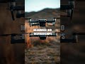 Whispers from the Quantum Workshop: New AI Frontiers in Robotics