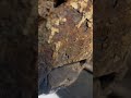 This 20 year old axle was CRUSTY… (Transit Connect)