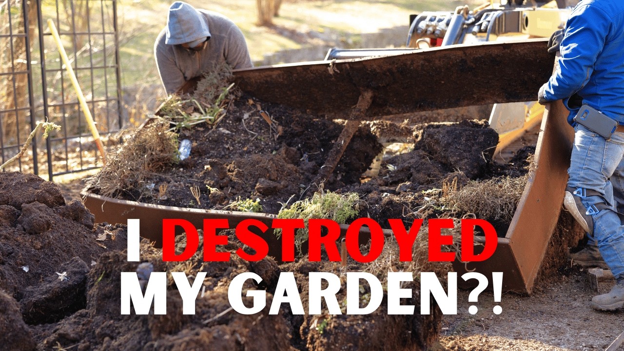 Why I Tore Out My Raised Beds And How I Rebuilt Them Even Better (Steel vs Cedar)