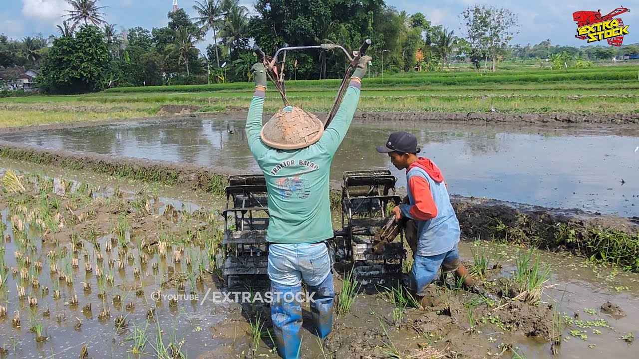 Joki Pemula Belajar Mengoperasikan Traktor Sawah Dibimbing Joki Muda