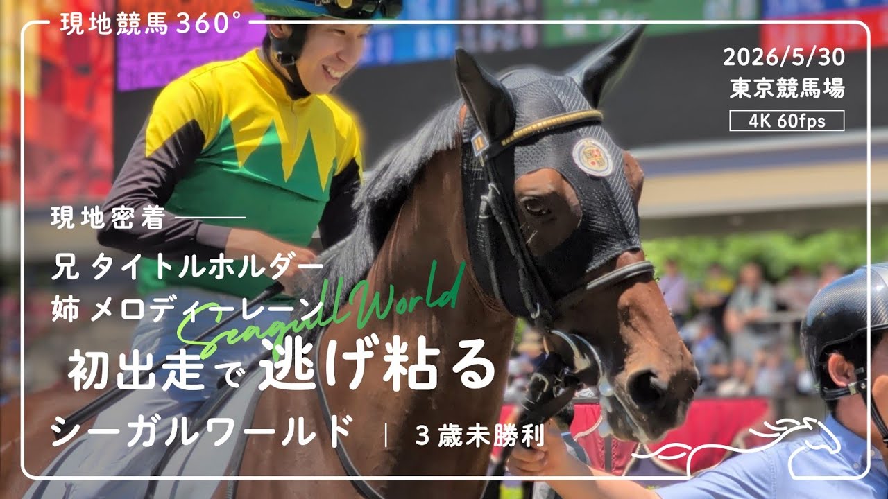 初出走で入着― シーガルワールド｜3歳未勝利 現地密着｜2026/5/30 東京 