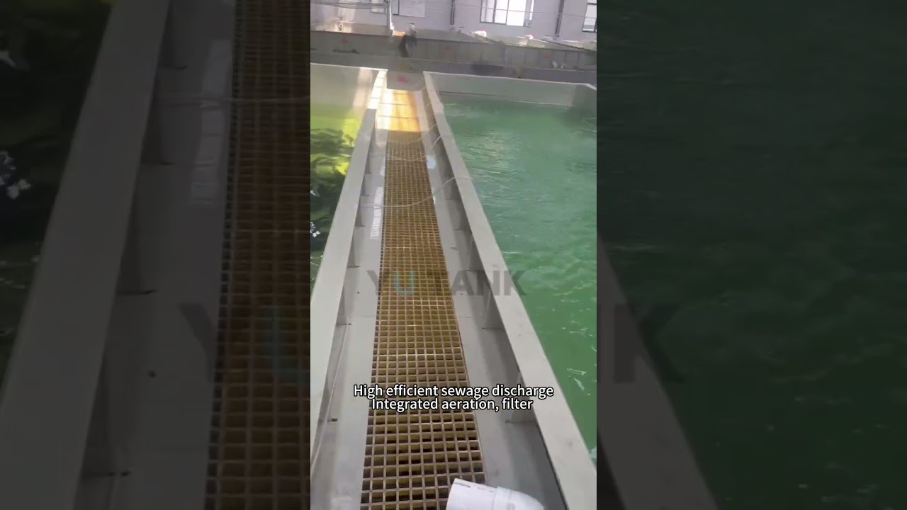 Build Your Fish Factory: Custom PP Tanks from Incubation to Harvest