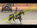 F46: Galopphilfe genau erklärt, besser Galoppieren lernen, Hilfen beim Reiten- Schritt, Trab, Galopp