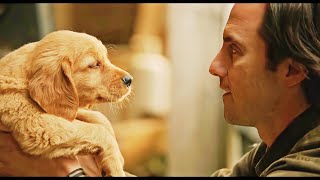 The Incredible Journeys of Dog Enzo