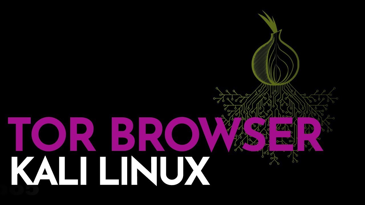 how to install tor browser kali