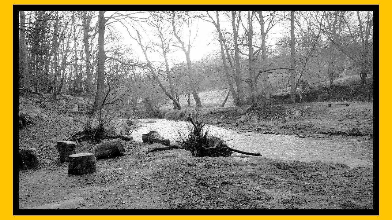 CaeDai wilderness camp with DJI Neo drone and steak