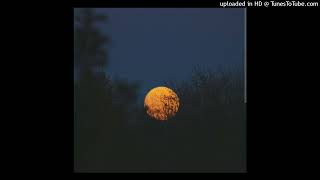 Dim Pat (Feat.Axl) - Under the moon