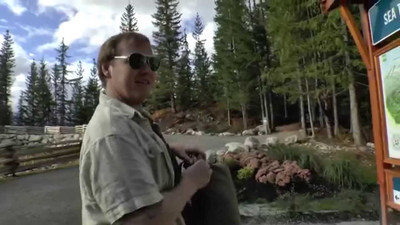 Puff Wednesday Squamish Gondola Trip