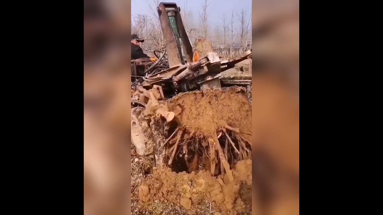 How to remove tree on construction site work/civilengineeringdiscoveries/civilengineeringtechnology