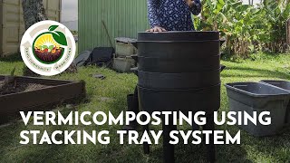 Vermicomposting Using Stacking Tray System  Oʻahu Community Worm Ohana