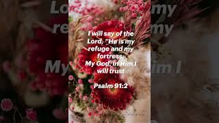 This Bible Verse Will Change Your  day #amen #share #bibleverse #shorts