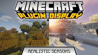 Minecraft Plugin Display: Realistic Seasons Net Worth