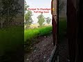 Panipat To Chandigarh Ride 😎☠️ #cycledastan #minivlog #trending #vira #travel l #shorts
