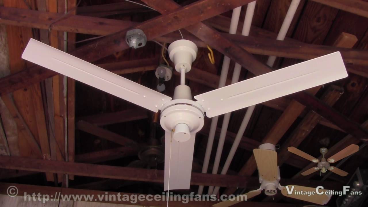Dayton Commercial Ceiling Fan Model 3C691A YouTube