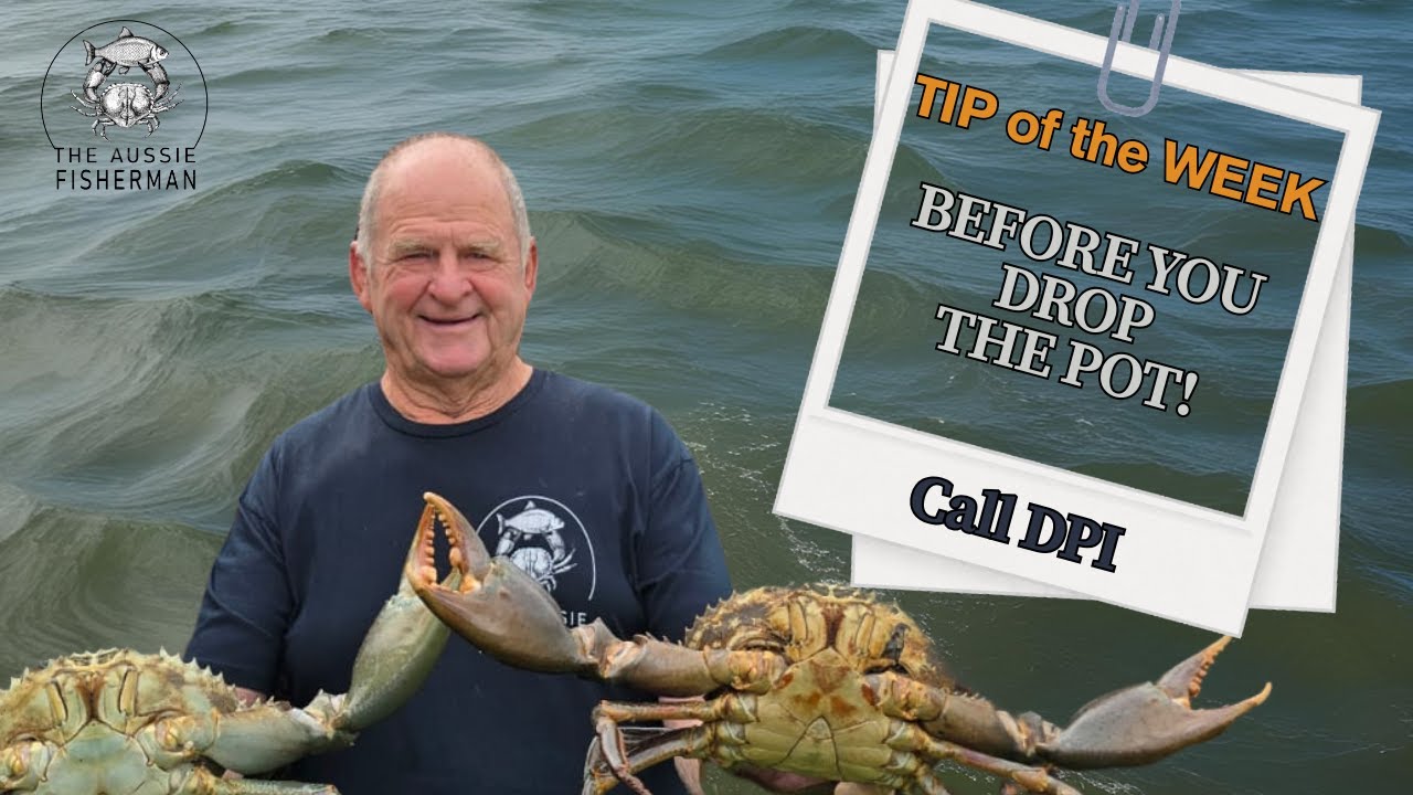 Before You Drop a Pot — Call DPI! Crabbing Rules & Local Tips You Need to Know