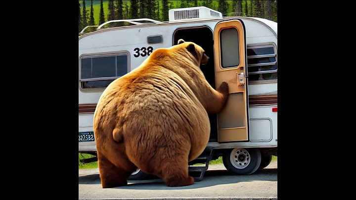 Québec  Un Grizzly Entre dans ma Caravane    Vous n'allez Pas Croire ce qui Suit ! 🐻😱