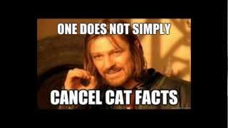 Cat Facts Prank