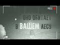 НЕЧТО ПОПАЛО В ОБЪЕКТИВ КАМЕРЫ. Страшные необъяснимые видео/ призрак снятый на камеру + Анимация