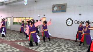 2014 0202とわだまける日 彩湖舞姫会