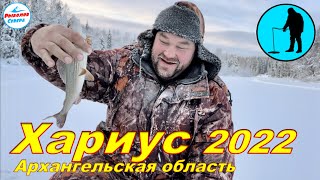 видео: РЫБАЛКА НА ХАРИУСА в Архангельской области. #Рыболов_Севера картинка: РЫБАЛКА НА ХАРИУСА в Архангельской области. #Рыболов_Севера