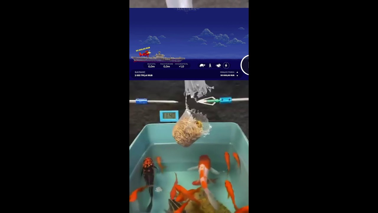 Livestream von klingor