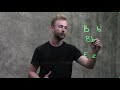 Labrador Coat Color Genetics Epistasis and Polygenic Inheritance Explained