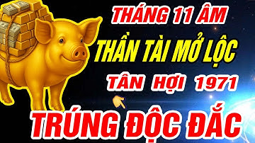 Thần tài mở lộc Tuổi TÂN HỢI 1971 NHẬN VẬN MAY CỰC ĐỎ CỰC GIÀU đúng Tháng 11 âm lịch 2025