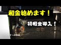 和金はじめます。金魚追加購入動画の回　金魚大好き悠tube