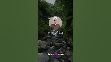 تلاوة مؤثرة بصوت الشيخ محمد أحمد حسن تعيد للنفس سكينتها