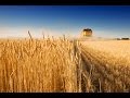 マッサン「ゴンドラの唄」The Song of Gondola