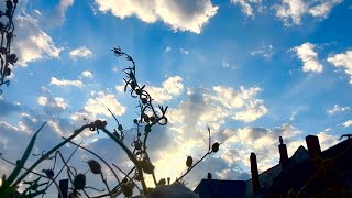 CLOUD MOVEMENT 