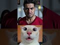 #cat #funny #automobile #machine #tools #dcmotor
