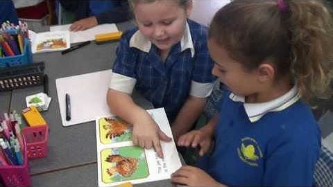 SSP Speedy Paired Decoding - Explained by Miss Emma - Speech Sound Pics Approach