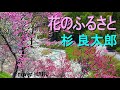 新曲「花のふるさと」杉良太郎 cover HARU