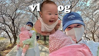 ENG)VLOG showing the cherry blossoms to the baby🌸stroller challenge🥲eating out😥