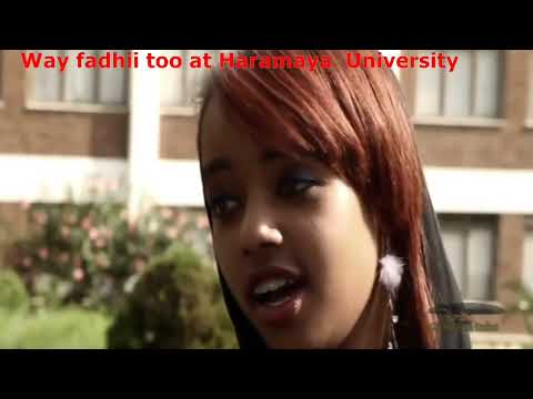Way Fedhii Too Ethiopian Oromo Movies 