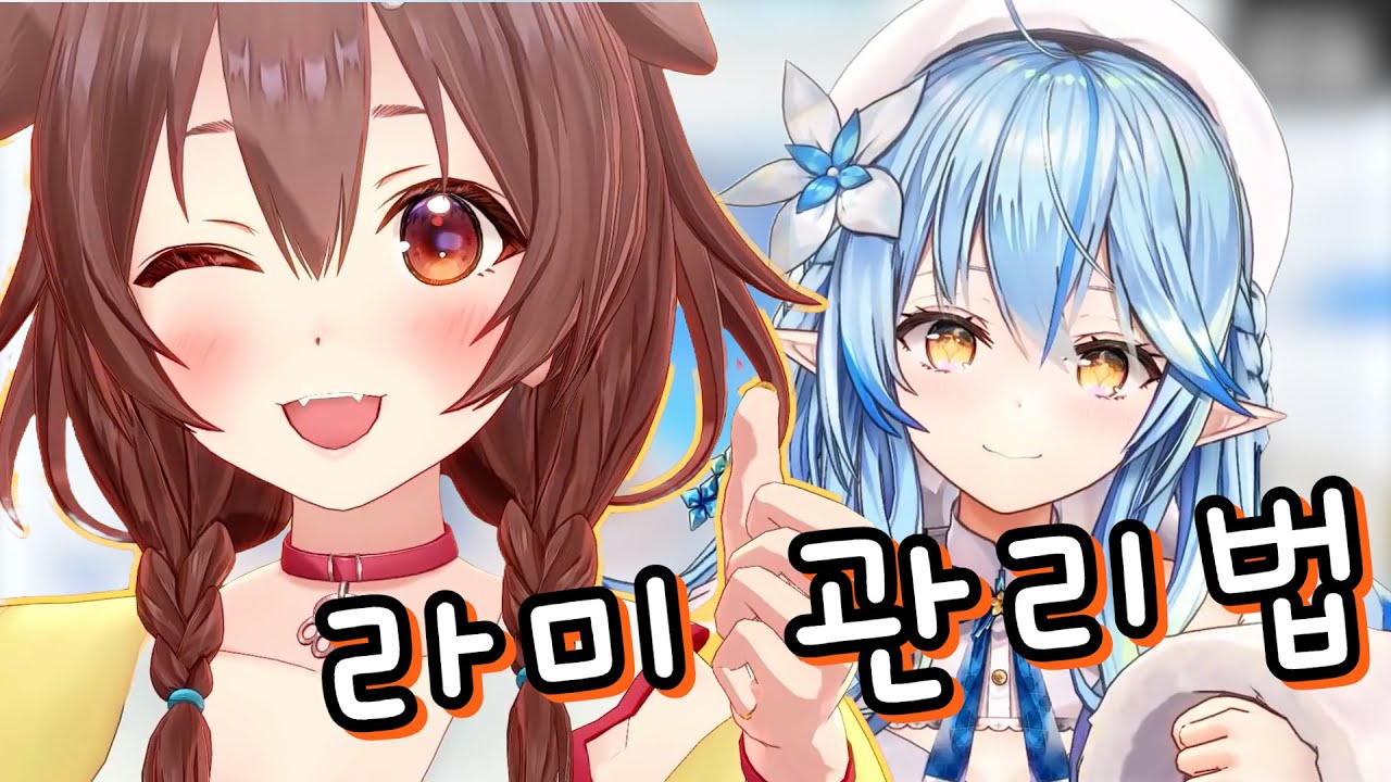 코로네의 라미 관리법【홀로라이브/ 유키하나 라미 (feat.코로네)】