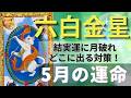 六白金星✨5月の運命は❣️結実運に月破れ😅❓深掘りして判明した💦可愛い急所を克服したら全てがラッキーに⤴️💖