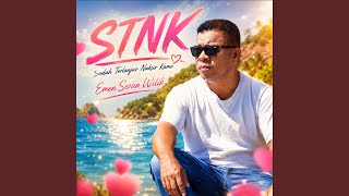 STNK — Sudah Terlanjur Naksir Kamu